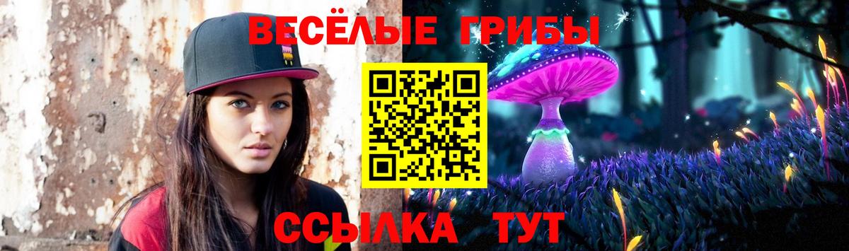 Псилоцибиновые грибы GOLDEN TEACHER  Вход с VPN  Псилоцибиновые грибы Cubensis  закладка  Лянтор 